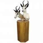 Double African Antelope and African Blonde Blesbok Taxidermy Mounted on Base