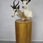 Double African Antelope and African Blonde Blesbok Taxidermy Mounted on Base